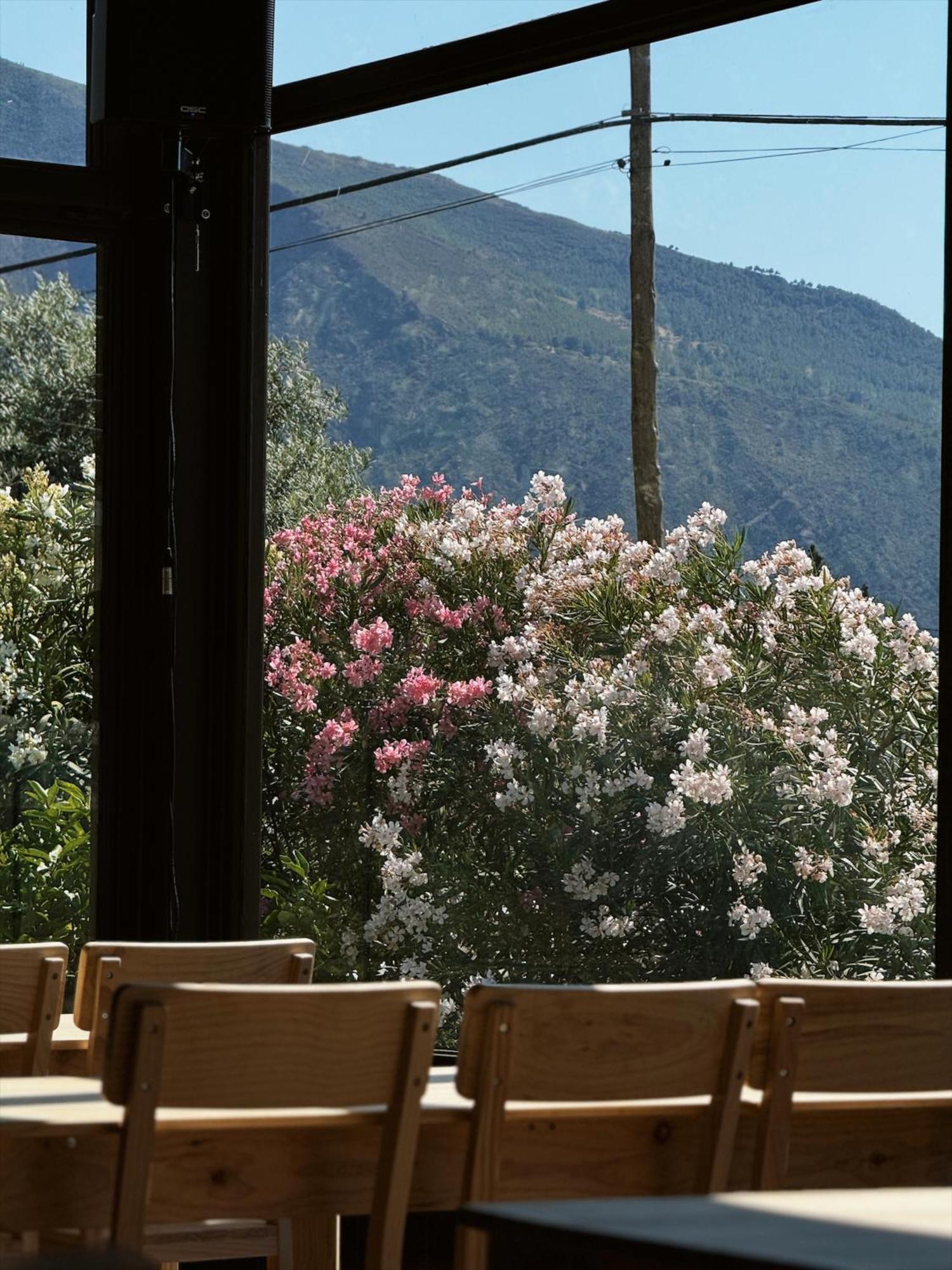 Hotel Taray Botanico オルヒバ エクステリア 写真