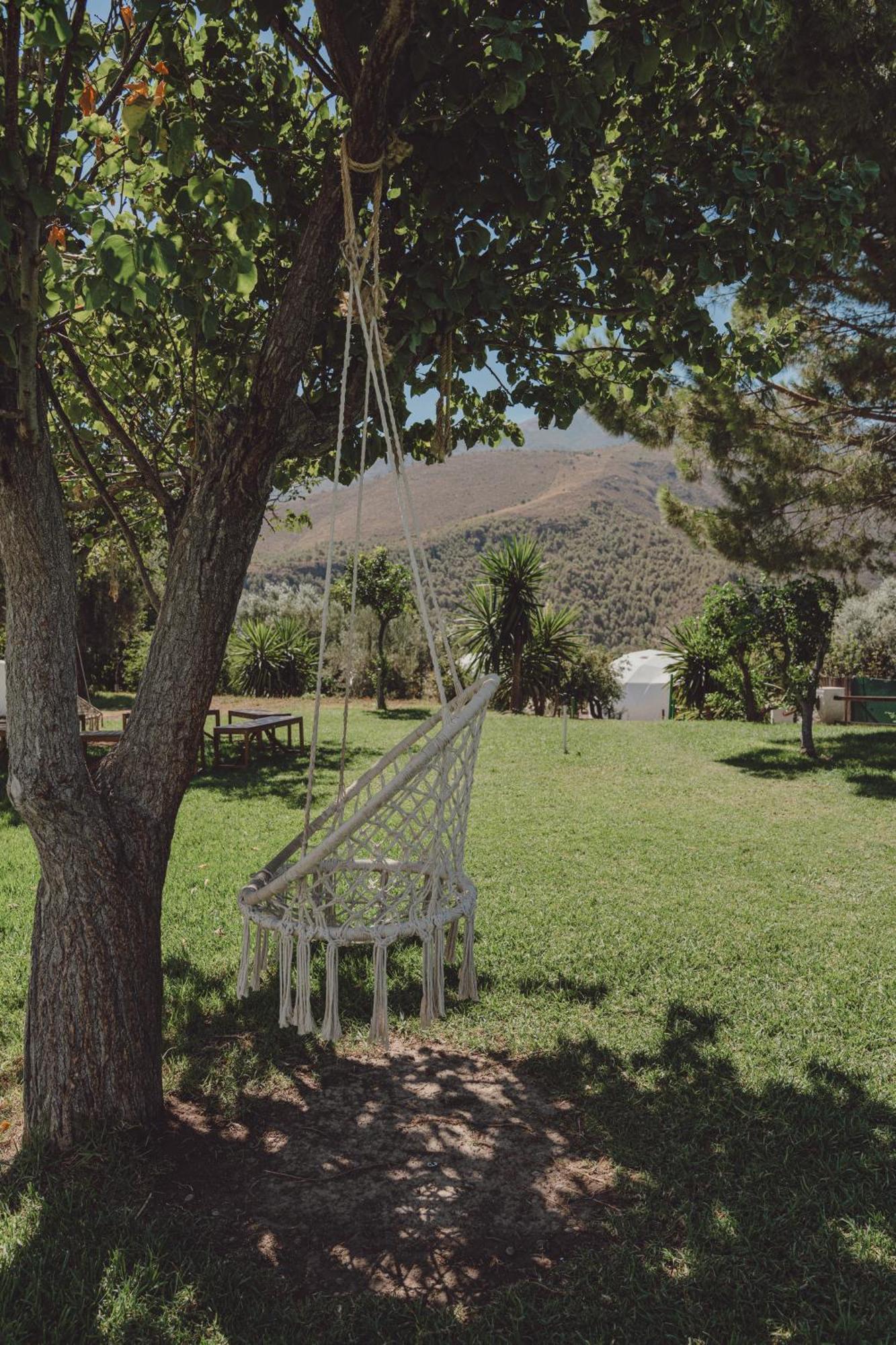 Hotel Taray Botanico オルヒバ エクステリア 写真