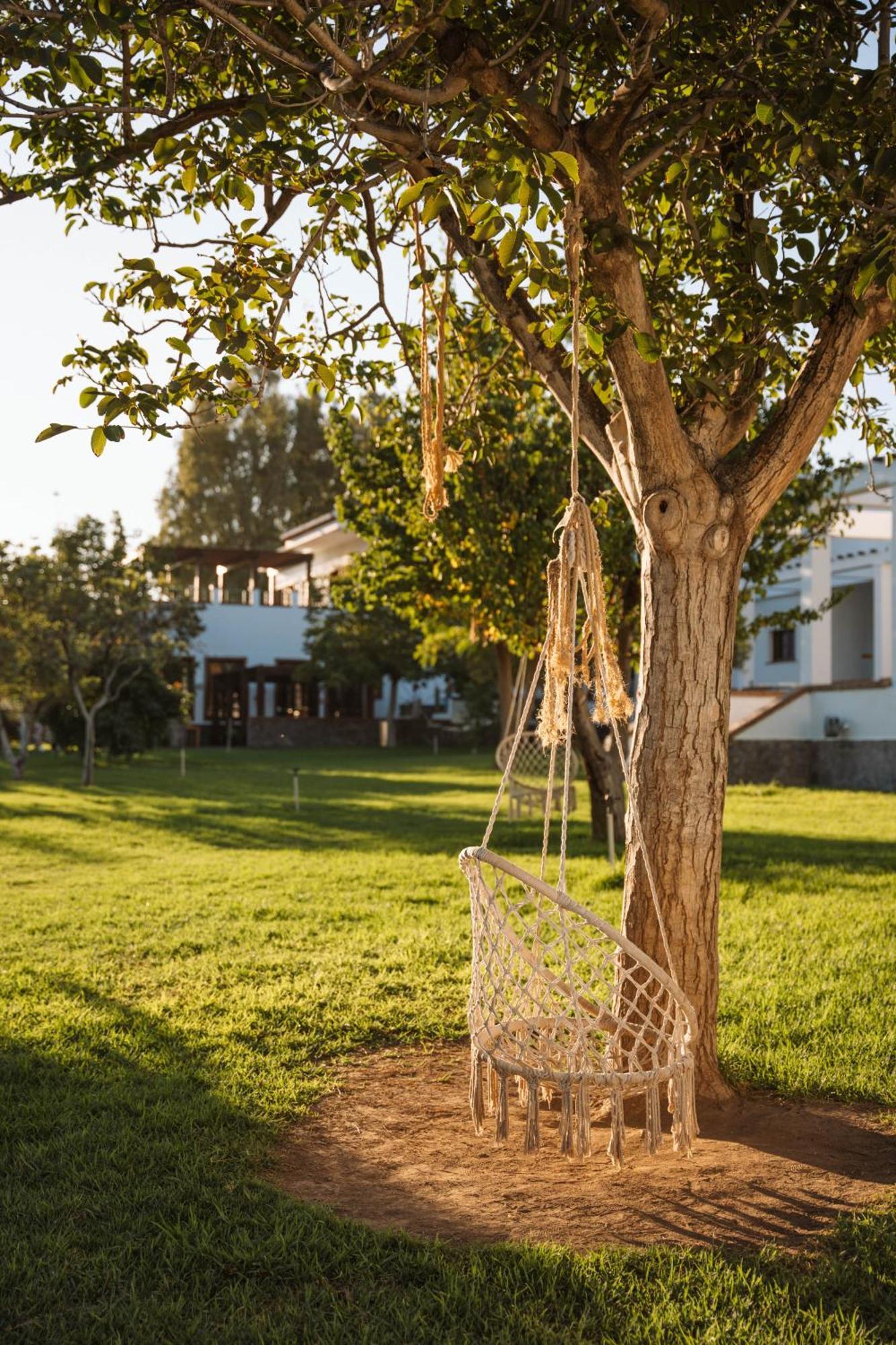 Hotel Taray Botanico オルヒバ エクステリア 写真