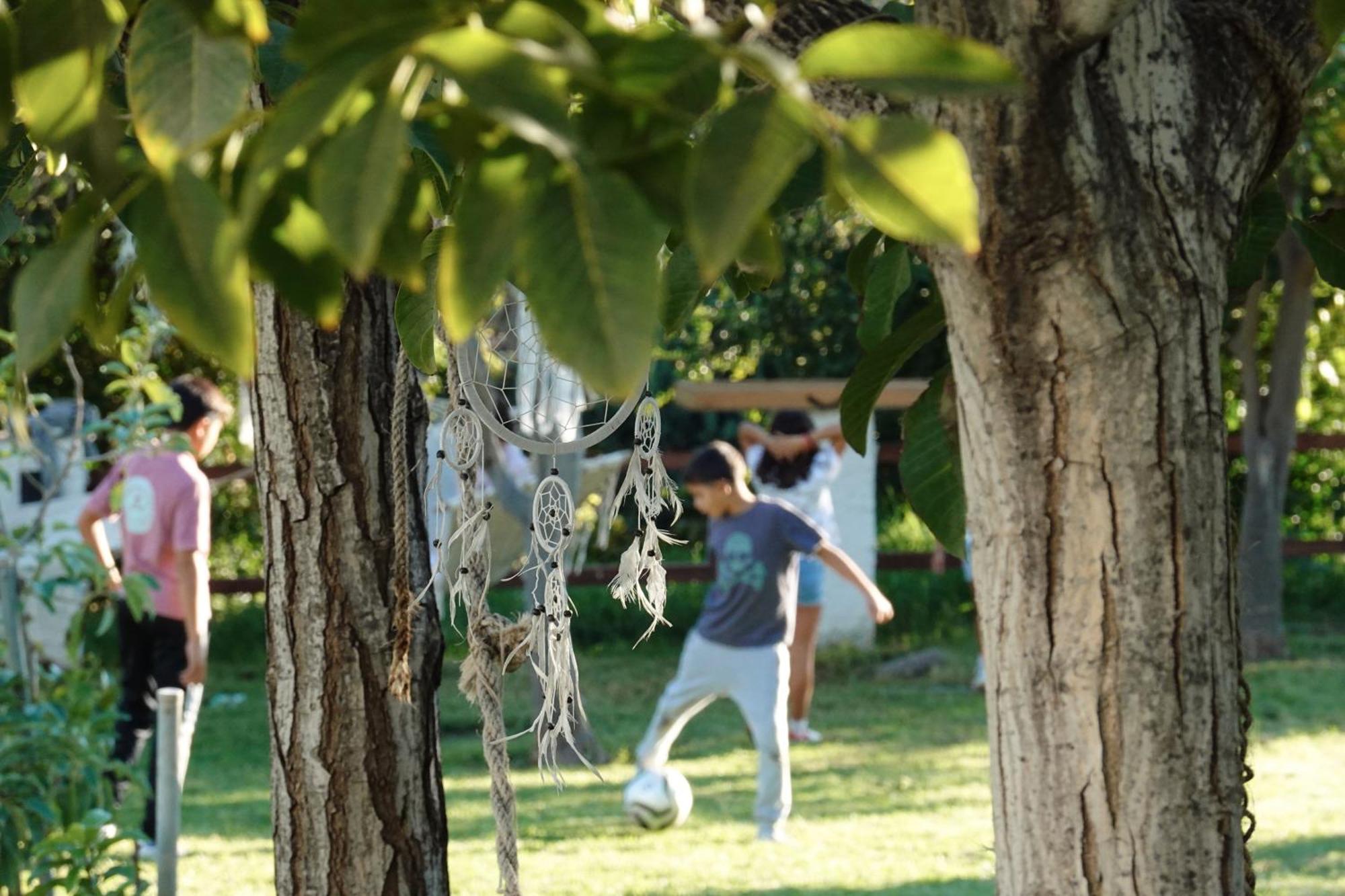 Hotel Taray Botanico オルヒバ エクステリア 写真