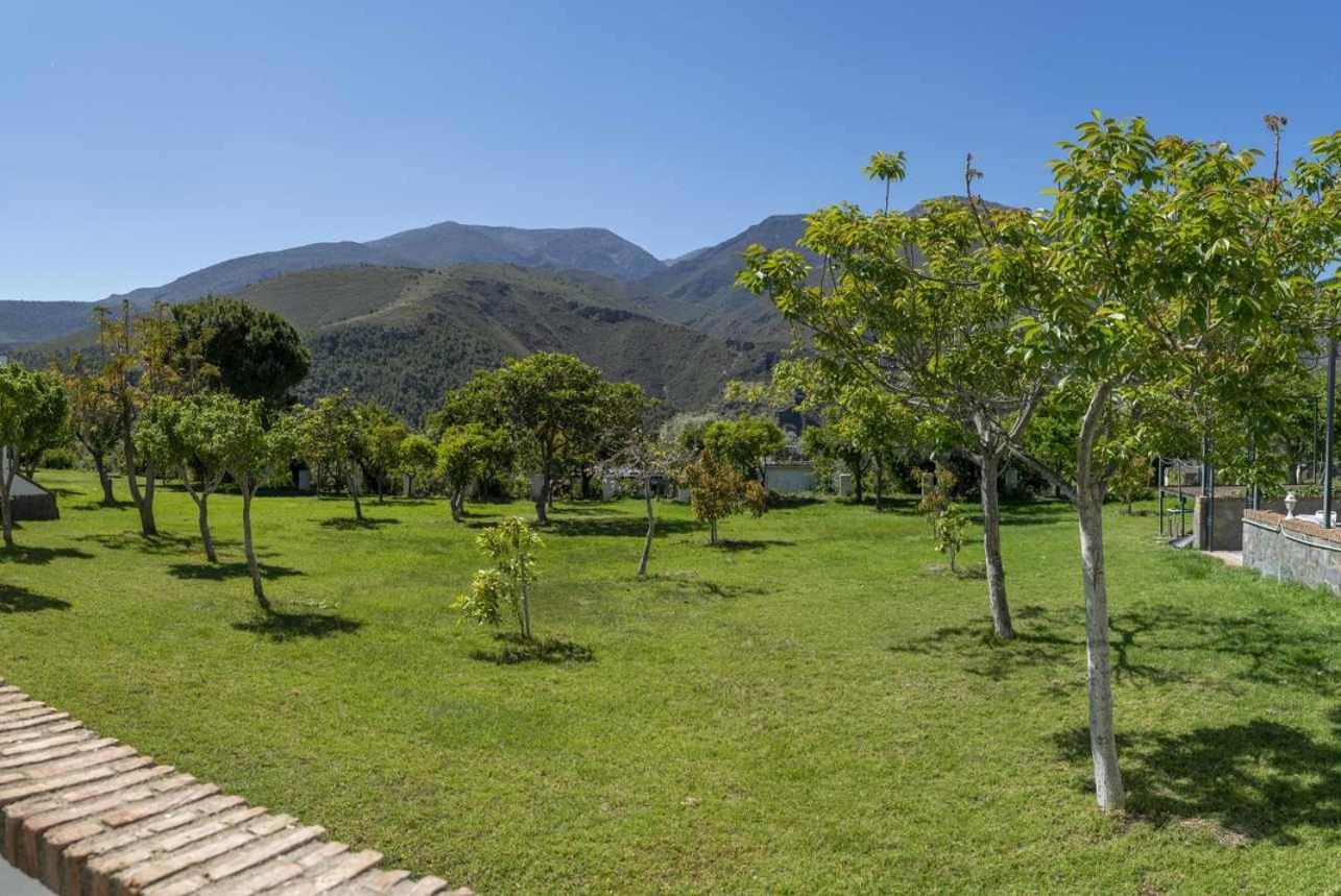 Hotel Taray Botanico オルヒバ 部屋 写真