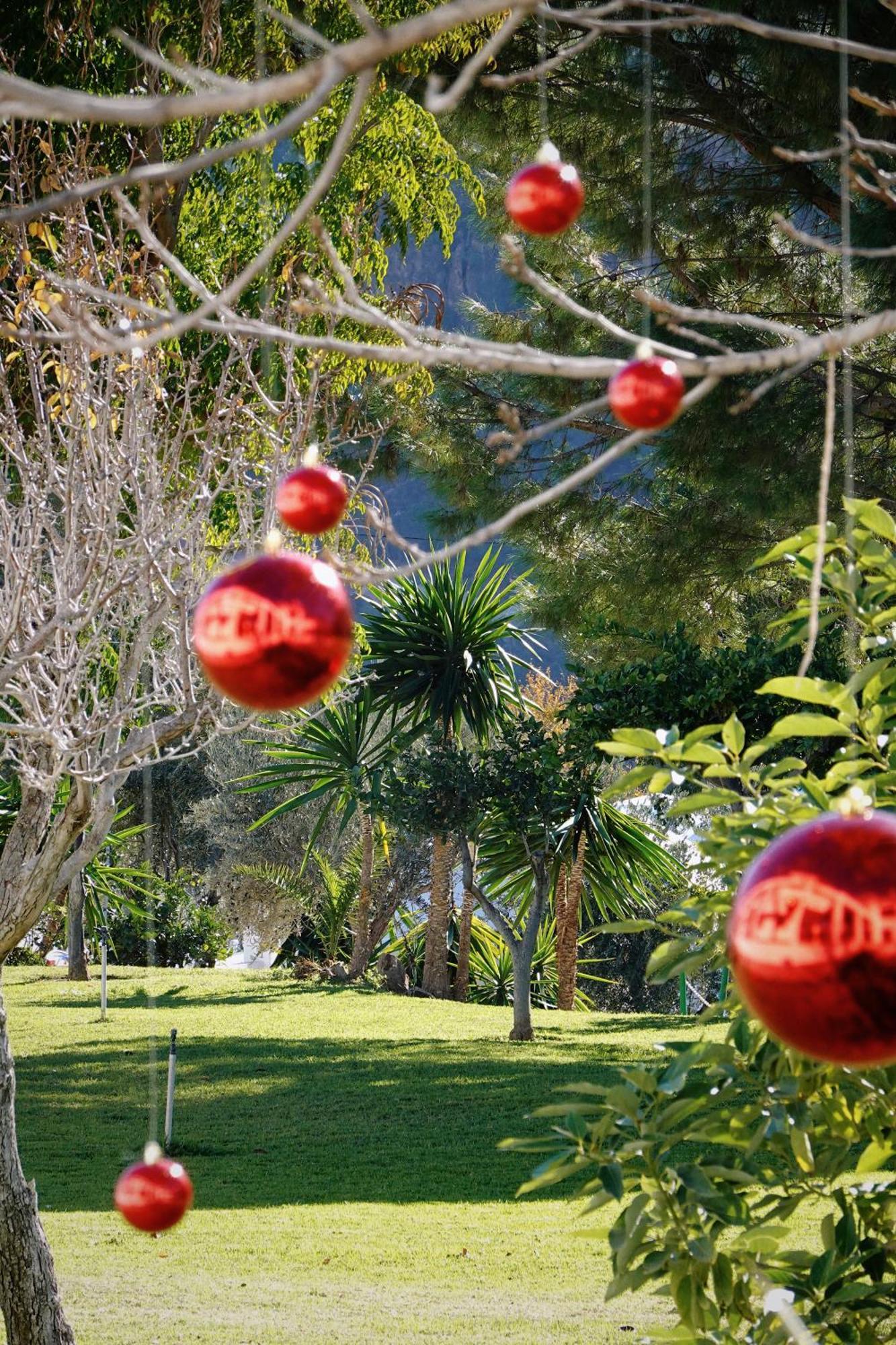 Hotel Taray Botanico オルヒバ エクステリア 写真