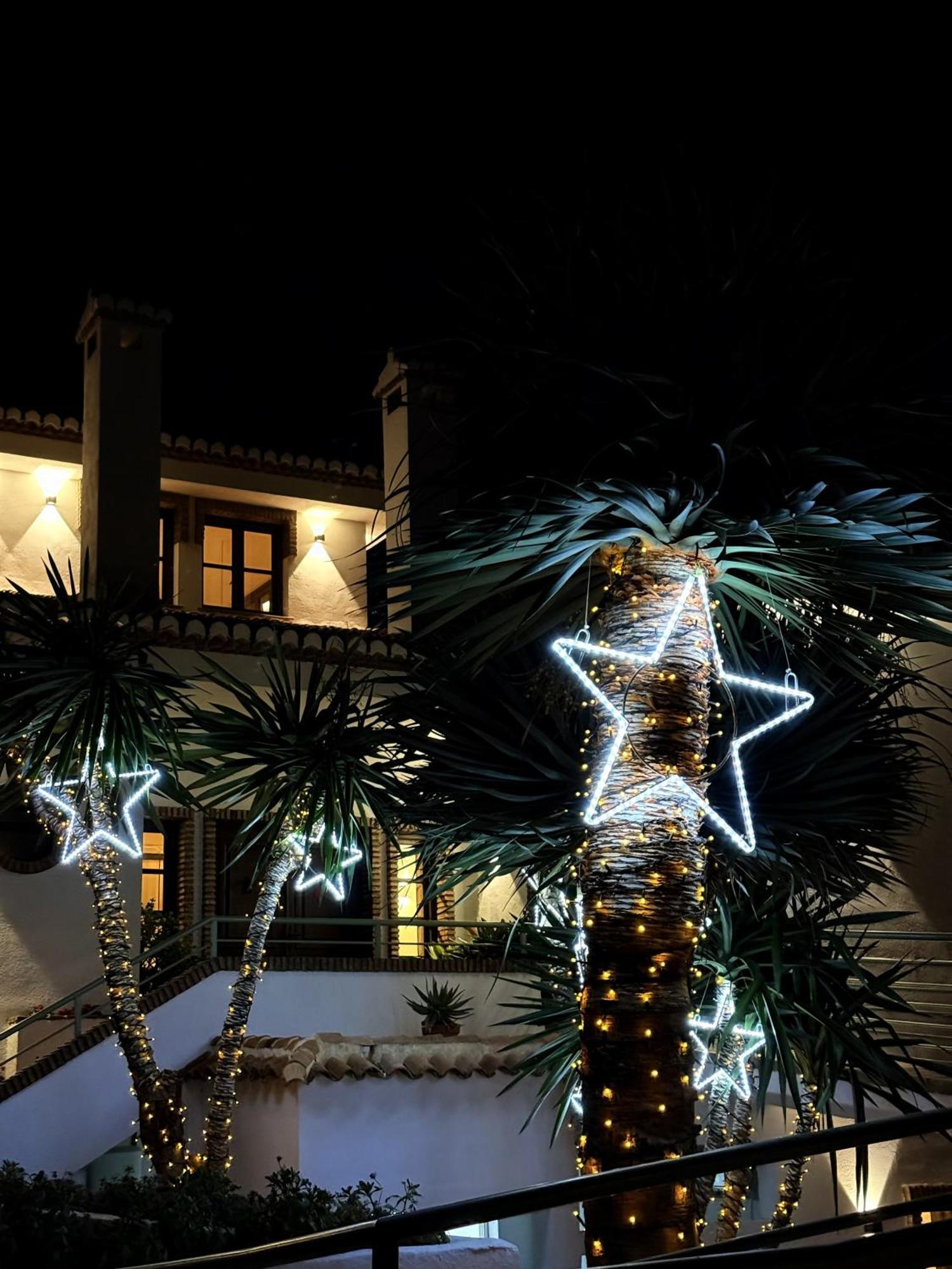 Hotel Taray Botanico オルヒバ エクステリア 写真