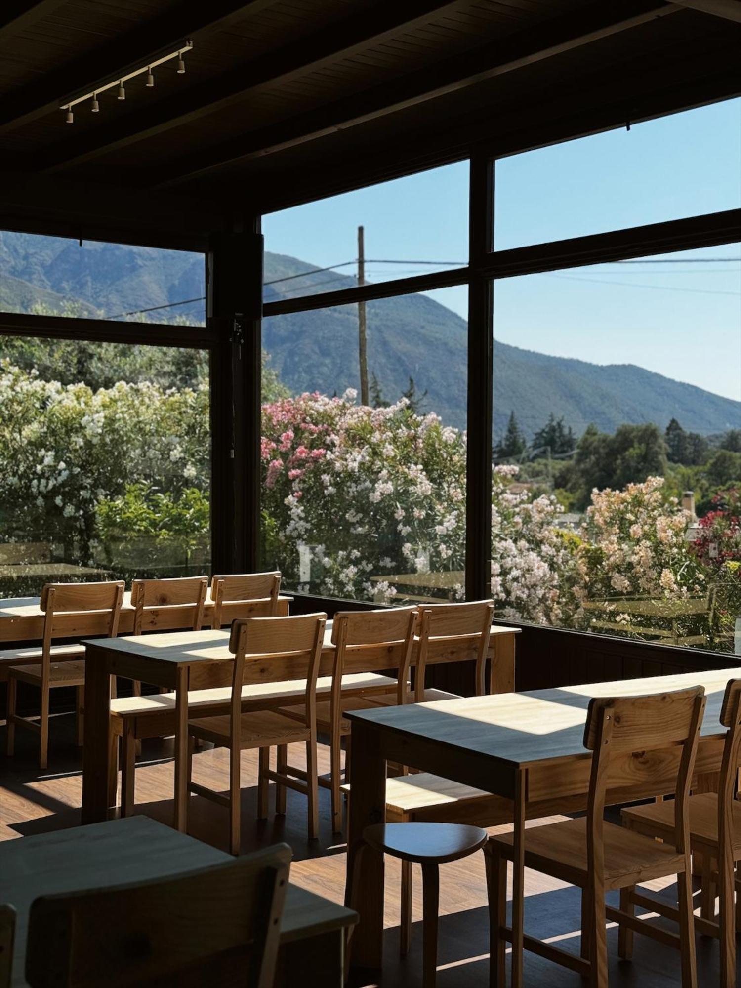 Hotel Taray Botanico オルヒバ エクステリア 写真