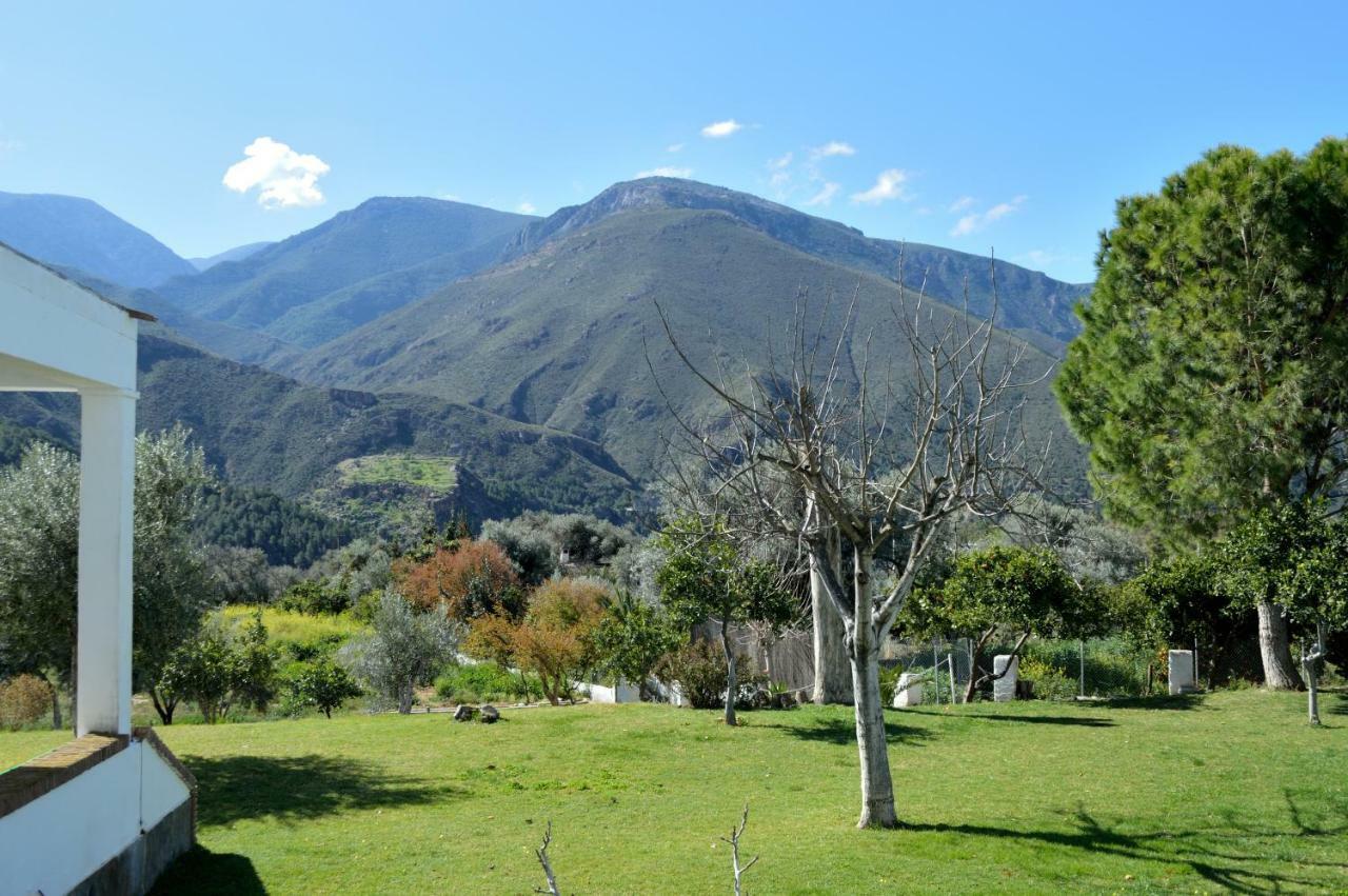 Hotel Taray Botanico オルヒバ エクステリア 写真